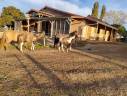 Ranch typiquement Western