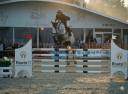 Jument de 6 ans sbs par couleur latour