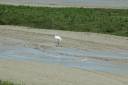 Maison vue sur Baie de Somme