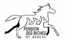 Pension Chevaux/Poney - Genève - Box/pré - 7/7j