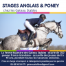 Stages Anglais Poney en France chez les Gateau Stables 