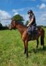 Jument Pur Sang francais 5 ans Club et Loisir