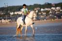 Cheval Pure Race Espagnole 3 ans crème + perle