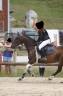 Poney D