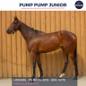 PUMP PUMP JUNIOR - PS - 6 ANS