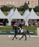 Très jolie jument KWPN de 4 ans Dressage 