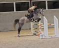 Jeune, belle et bonne jument obstacle 6 ans prix à déba