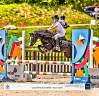 Diana Ross - Welsh A - 6 ans - IPO 126 - 120cm