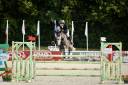 Jument de sport de 6 ans