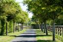 Haras Pays d'Auge 24 hectares