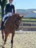 Jolie Jument Selle Francais 7 ans Dressage 