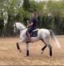 Un cheval facile, très avancé, et à un prix vraiment.