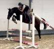 Super jument kwpn 1m56 de 4 ans