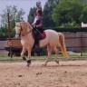 Aide stable