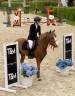 Poney de Sport CSO