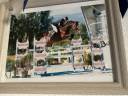 A placer gentil cheval 