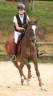 Gold - Poney d'Exception, Super resultats PElite/As2
