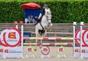 Cheval à vendre