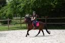 A CONFIER pour sport