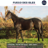 FUEGO DES ISLES - PS - 5 ANS