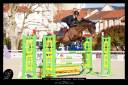 CHEVAL DE CSO 16 ANS