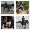 Ponette D 7 ans polyvalente
