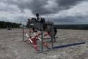Poney de sport Connemara 2022 taille D