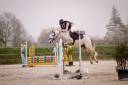 Love You of C&eacute; &ndash; Poney C d&rsquo;Avenir pour Jeune Cavalier A