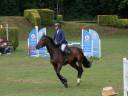 Cheval de sport CSO (Amateur/pro)
