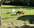 Propri&eacute;t&eacute; dans la Dr&ocirc;me de 15 hectares avec grand g&icirc;te