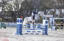 Super cheval de concours 