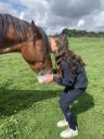 Jument  baie 7 ans 