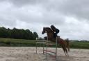 poney D pfs