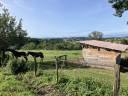 Ferme &eacute;questre