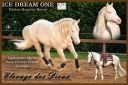 Quarter Horse de robe cr&egrave;me Saillie 2027