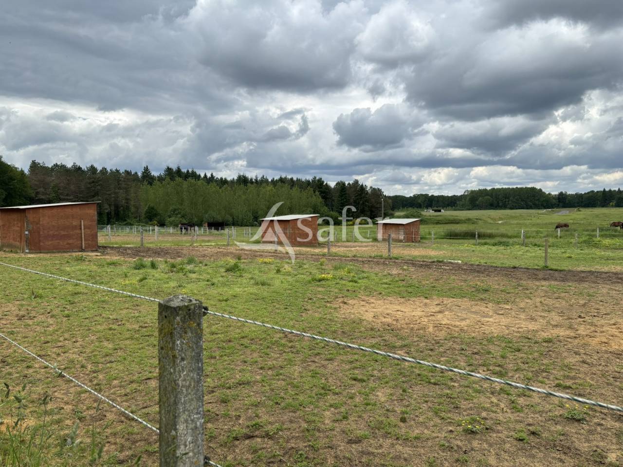 Complexe d'entrainement pour trotteurs cl&eacute; en main