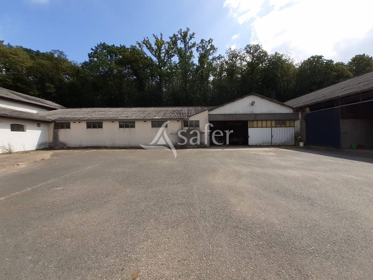 Complexe d'entrainement pour trotteurs cl&eacute; en main