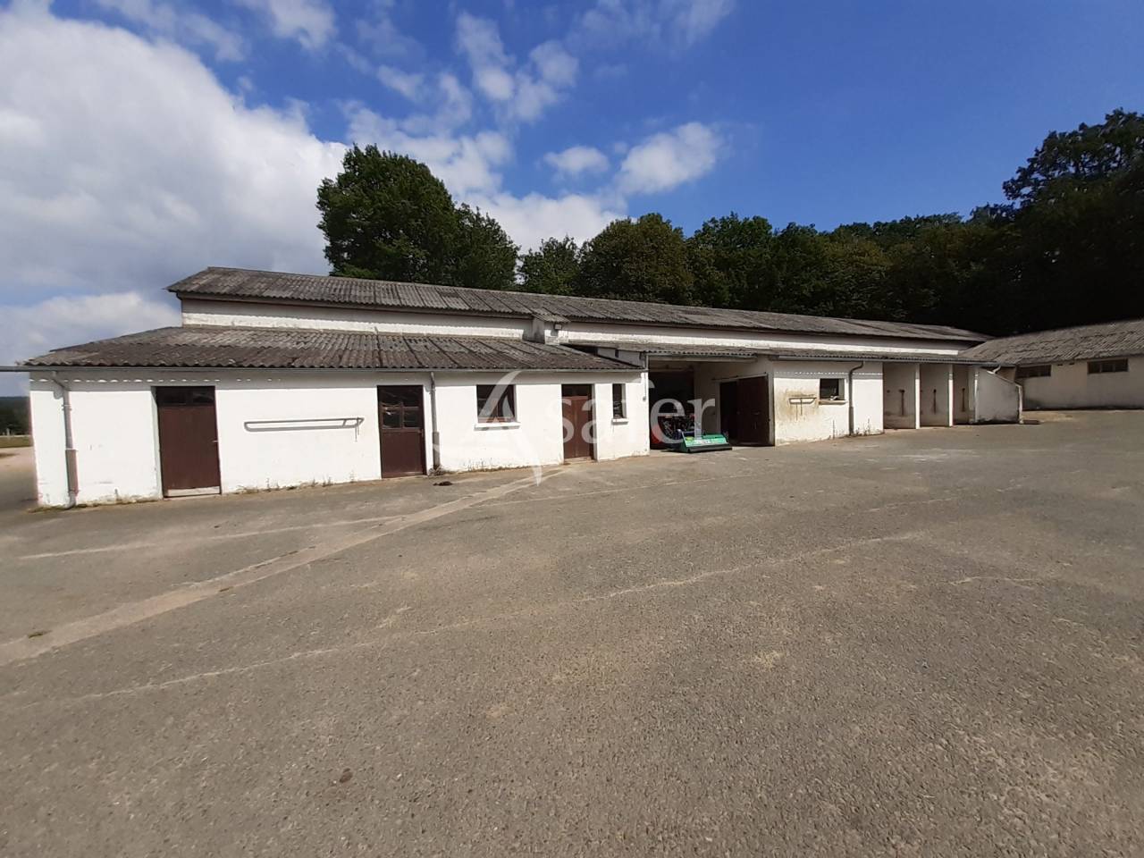 Complexe d'entrainement pour trotteurs cl&eacute; en main