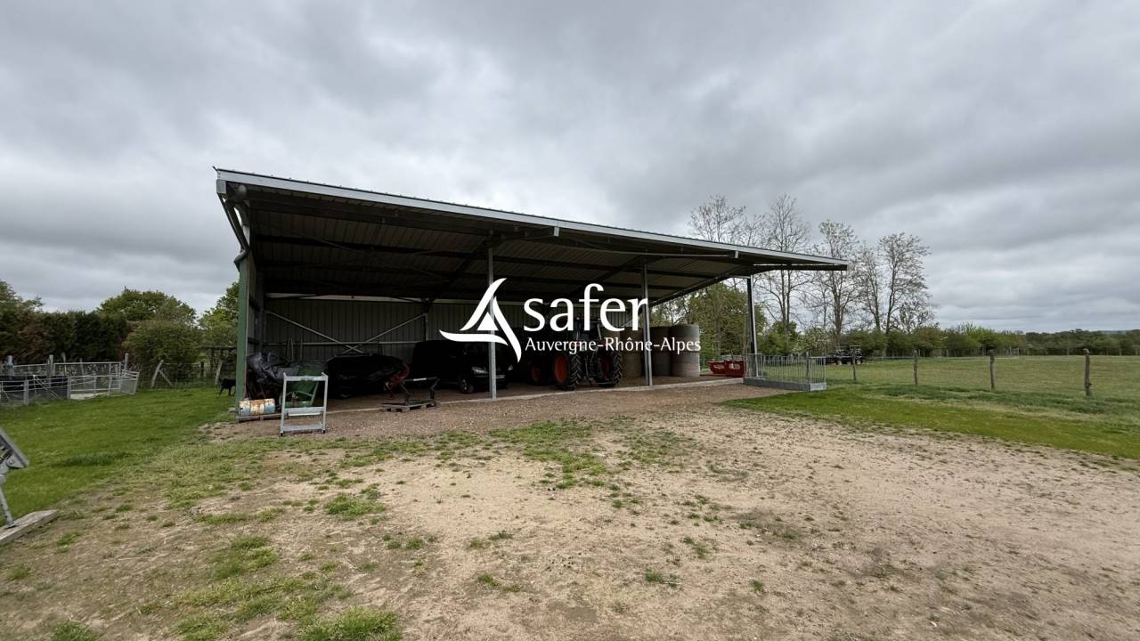 Maison r&eacute;nov&eacute;e avec 6 ha - Secteur LAPALISSE