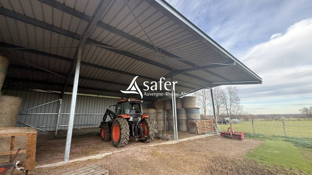 Maison r&eacute;nov&eacute;e avec 6 ha - Secteur LAPALISSE