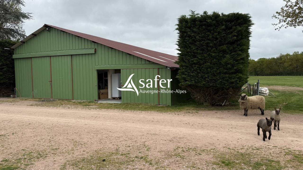 Maison r&eacute;nov&eacute;e avec 6 ha - Secteur LAPALISSE