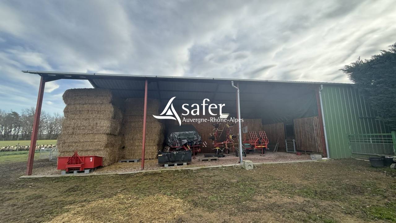 Maison r&eacute;nov&eacute;e avec 6 ha - Secteur LAPALISSE