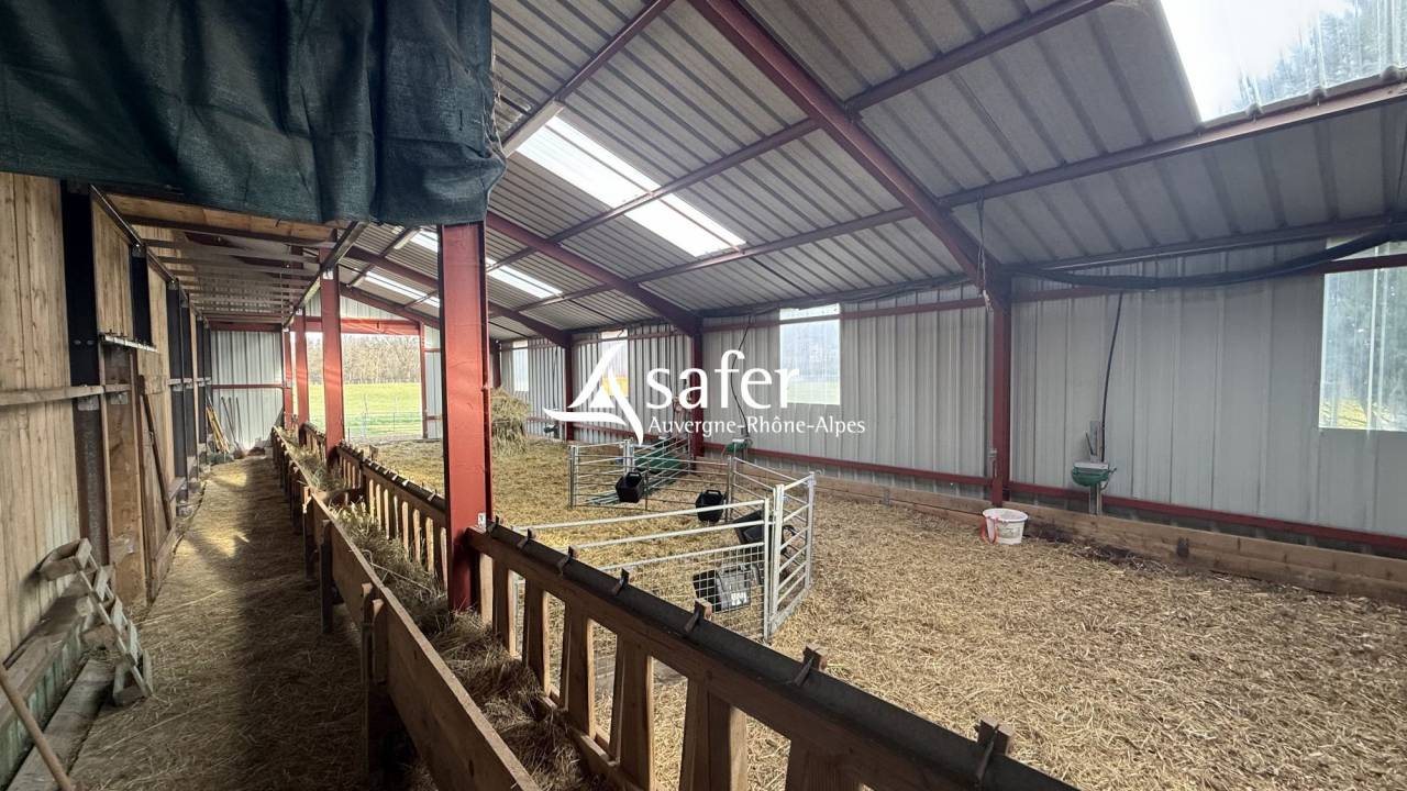 Maison r&eacute;nov&eacute;e avec 6 ha - Secteur LAPALISSE