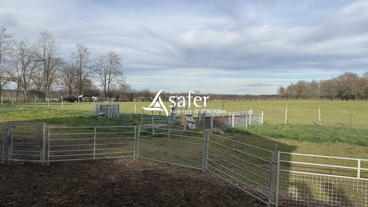 Maison r&eacute;nov&eacute;e avec 6 ha - Secteur LAPALISSE