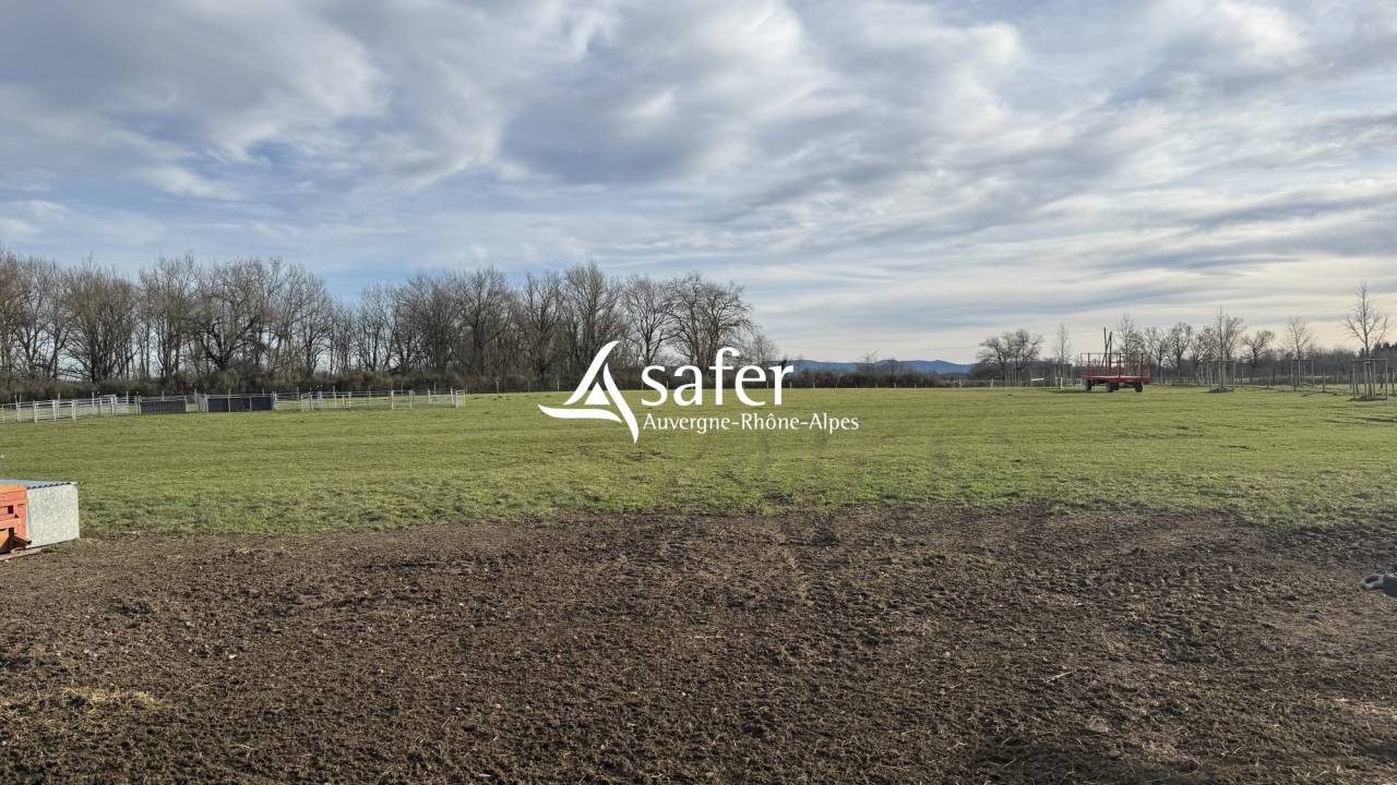 Maison r&eacute;nov&eacute;e avec 6 ha - Secteur LAPALISSE