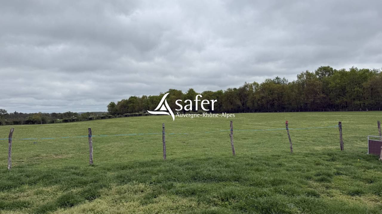 Maison r&eacute;nov&eacute;e avec 6 ha - Secteur LAPALISSE