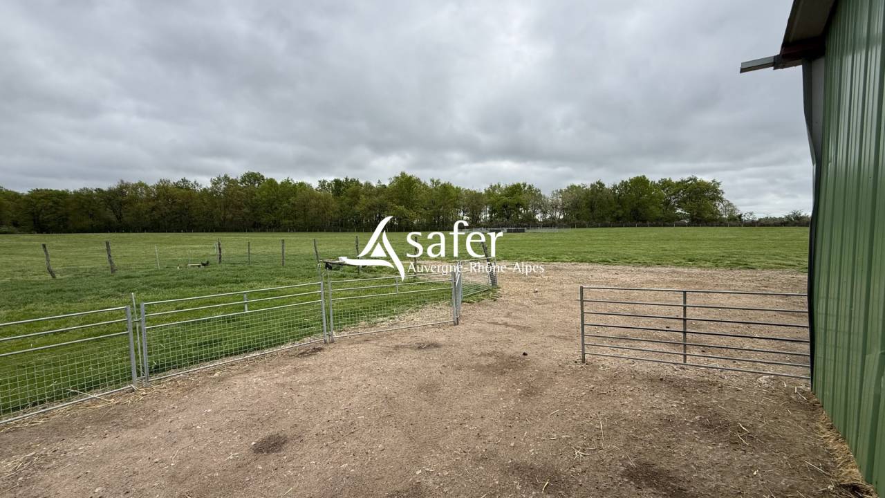 Maison r&eacute;nov&eacute;e avec 6 ha - Secteur LAPALISSE