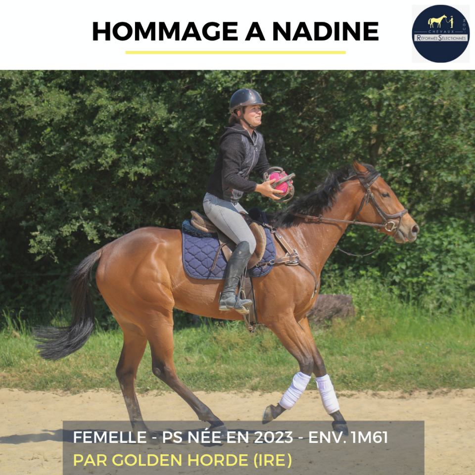 HOMMAGE A NADINE - PS - 3 ANS