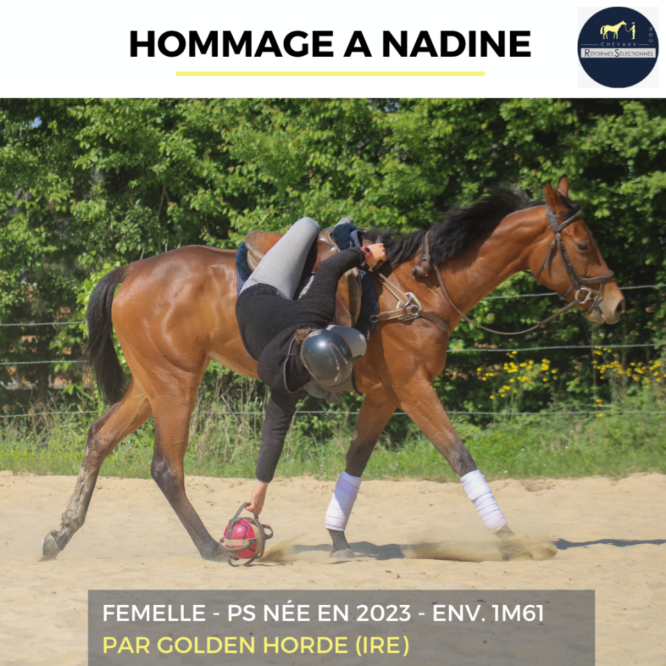 HOMMAGE A NADINE - PS - 3 ANS