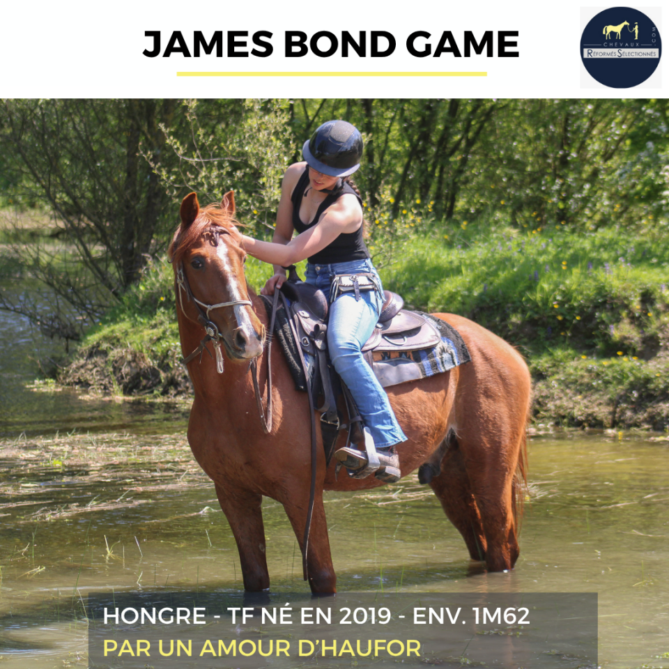 JAMES BOND GAME - TF - 7 ANS